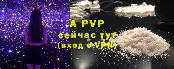 спиды Балахна