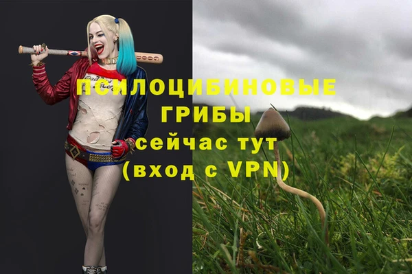 спайс Балабаново