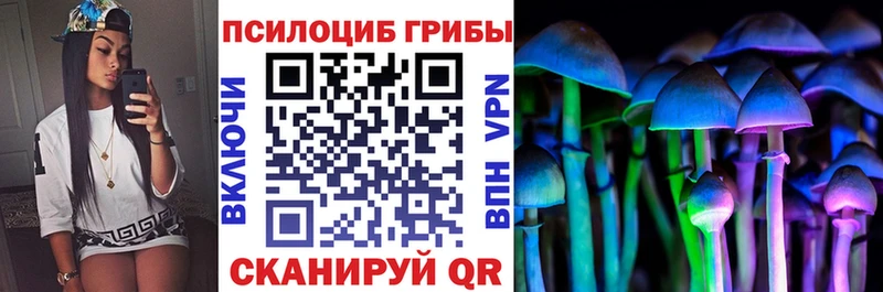 Купить закладки  Спасск  Псилоцибиновые грибы прущие грибы 
